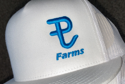 "The OG White & Turquoise"