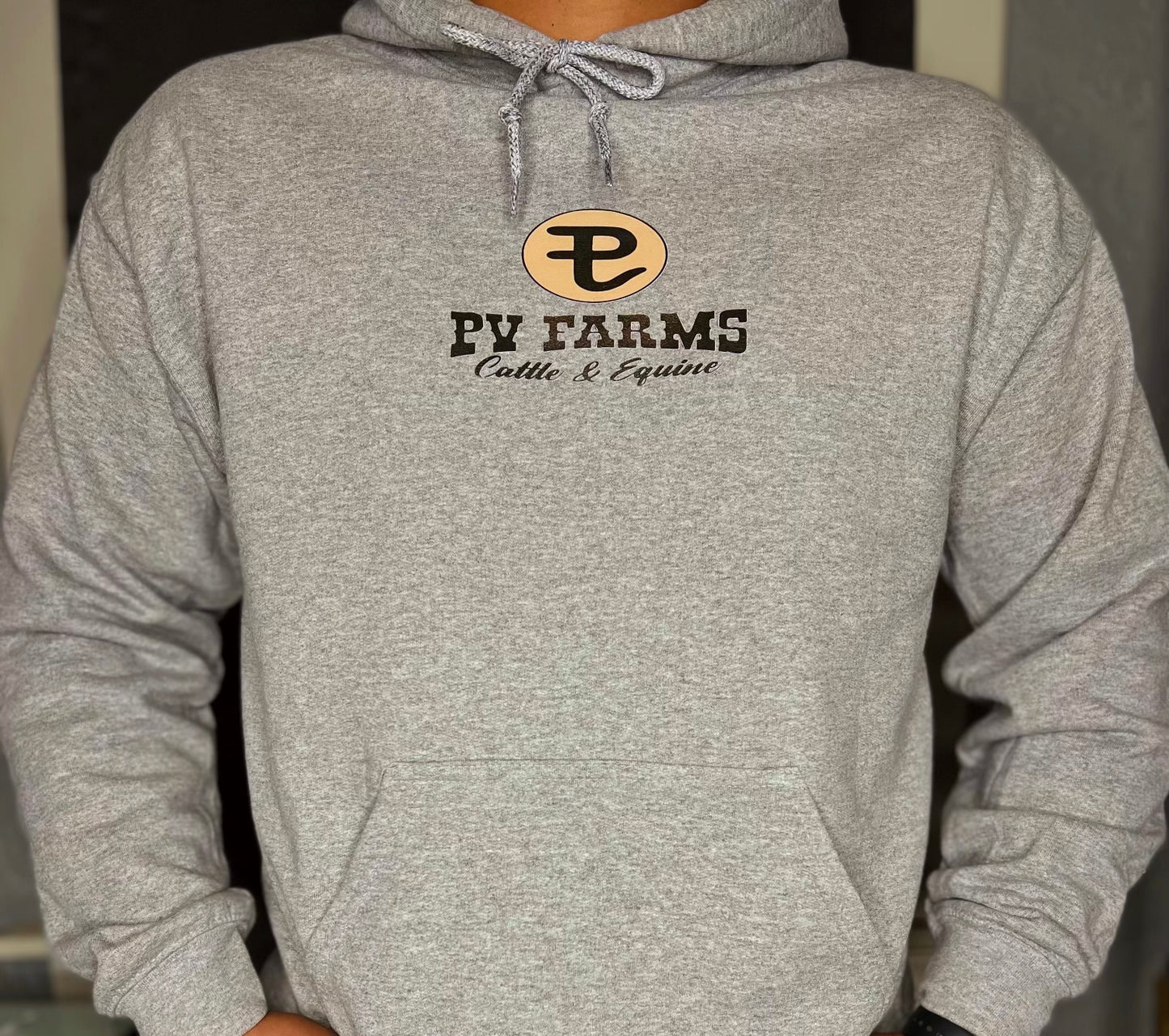 Grey PV hoodie