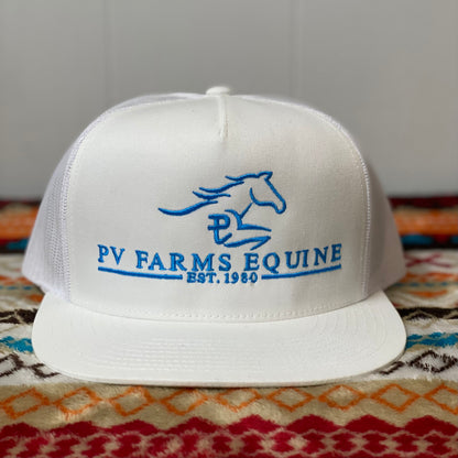 PV Equine Turquoise